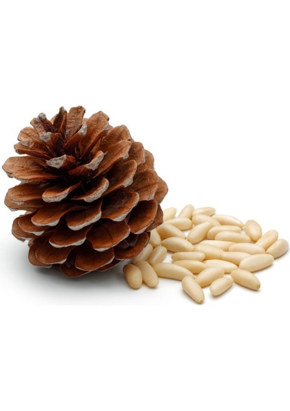 Çam Fıstığı 50 gr fiyatları