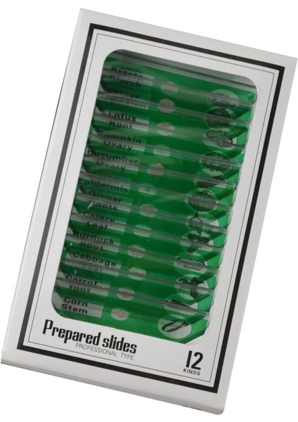 12 Adet Mikroskop Tesisi / Meyve Biyolojik Örnek Plastik Dilim Erken Eğitim Aracı Doğa Oyuncak Keşfet (Yurt Dışından)