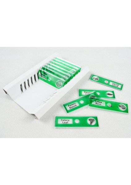 12 Adet Mikroskop Tesisi / Meyve Biyolojik Örnek Plastik Dilim Erken Eğitim Aracı Doğa Oyuncak Keşfet (Yurt Dışından)