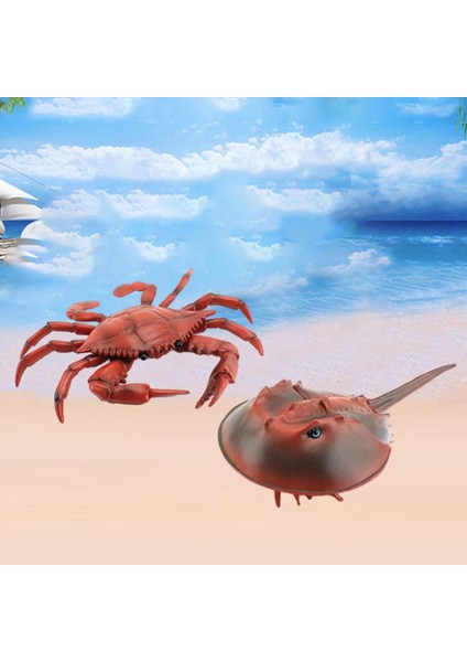 Deniz Yaşamı Hayvan Figürinler Playset Doğum Günü Leri Hayatçı Çocuk Erkek 2 Adet Kırmızı (Yurt Dışından) modelleri