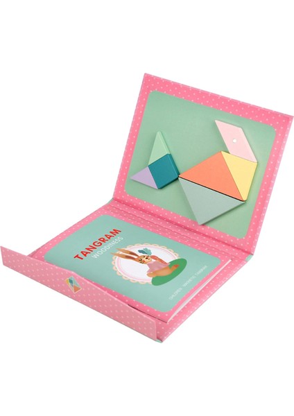 Dıy Manyetik Tanram (Yurt Dışından)