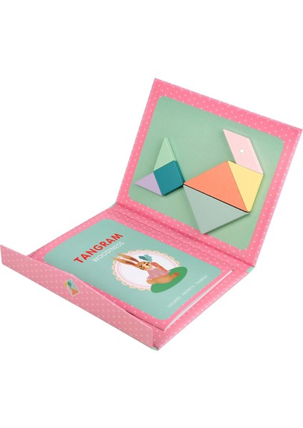 Dıy Manyetik Tanram (Yurt Dışından) fiyatları