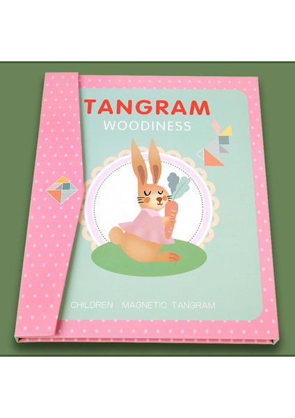 Dıy Manyetik Tanram (Yurt Dışından) modelleri