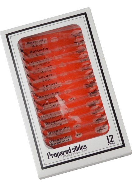 12 Adet Mikroskop Böcek Biyolojik Örnek Plastik Dilimler Erken Eğitim Aracı Doğa Oyuncak Keşfet (Yurt Dışından)