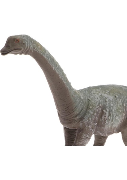 Hayata Benzeri Jurassic Hayvan Brachiosaurus Model Oyuncak Çocuklar ve Küçük Çocuklar Için Plastik Dinozor Eğitim Oyuncak Doğum Günü Sunumları (Yurt Dışından) modelleri