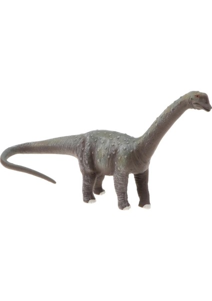 Hayata Benzeri Jurassic Hayvan Brachiosaurus Model Oyuncak Çocuklar ve Küçük Çocuklar Için Plastik Dinozor Eğitim Oyuncak Doğum Günü Sunumları (Yurt Dışından) fırsatları