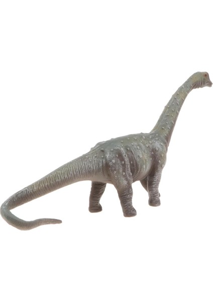Hayata Benzeri Jurassic Hayvan Brachiosaurus Model Oyuncak Çocuklar ve Küçük Çocuklar Için Plastik Dinozor Eğitim Oyuncak Doğum Günü Sunumları (Yurt Dışından) indirimleri
