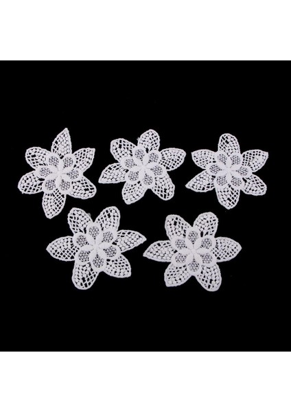 5ADET Aplike Yama Çiçek Desen Beyaz Dantel Gelin Aplike 5 Adet Blumen (Yurt Dışından)