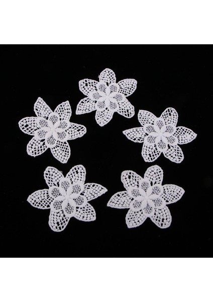 5ADET Aplike Yama Çiçek Desen Beyaz Dantel Gelin Aplike 5 Adet Blumen (Yurt Dışından)