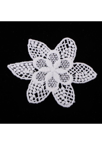 5ADET Aplike Yama Çiçek Desen Beyaz Dantel Gelin Aplike 5 Adet Blumen (Yurt Dışından)