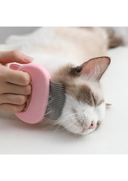 Kedi Tarak Fırça (Yurt Dışından)