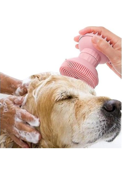 Kedi Tarak Fırça (Yurt Dışından)
