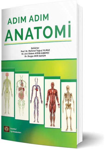 Adım Adım Anatomi