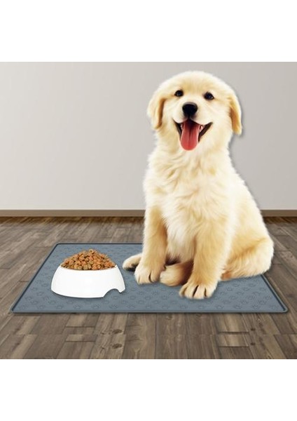 Dinlenemeyen Pet Kase Yavaş Besleyici Placemat Hiçbir Karışıklık Köpek Gıda Davranışlar Dağıtıcı Mat Gömlekler Tepsi Yükseltilmiş Yüzler Pet Kaseler Ped Kedi | (Yurt Dışından) modelleri