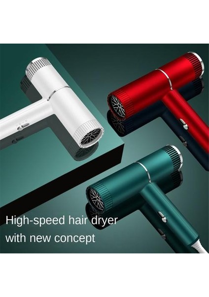 1000W Plastik Üfleyici Yüksek Güç Düşük Gürültü Güçlü Rüzgar Taşınabilir Üfleyici (Yurt Dışından) modelleri