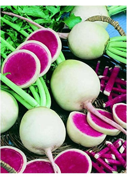 Erdem Garden Doğal Çin Turpu Tohum