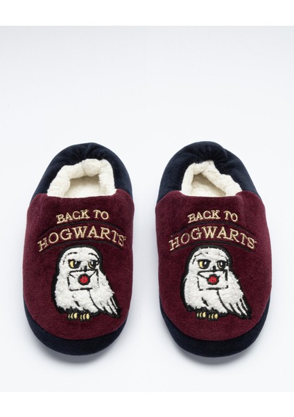 Bordo Hogwarts Patik-Harry Potter Koleksiyonu