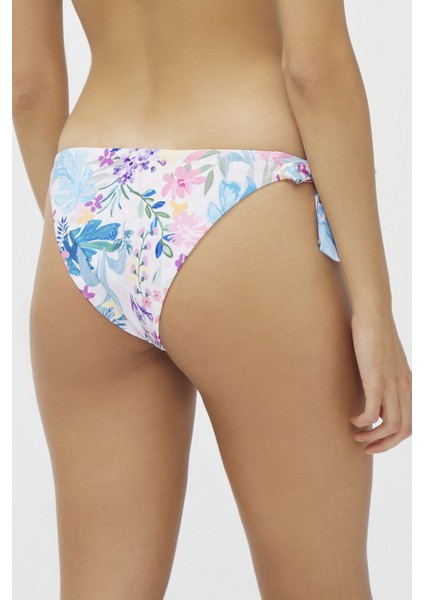 Çok Renkli Camelia Brazilian Bikini Altı modelleri