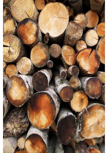 Dijital Baskılı Kaymaz Taban Yıkanabilir Modern Çocuk Odası Halısı VHÇ-HP-721 fiyatları