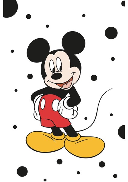 Dijital Baskılı Kaymaz Taban Yıkanabilir Çizgi Film Desenli Çocuk Odası Halısı VHÇ-HP-798