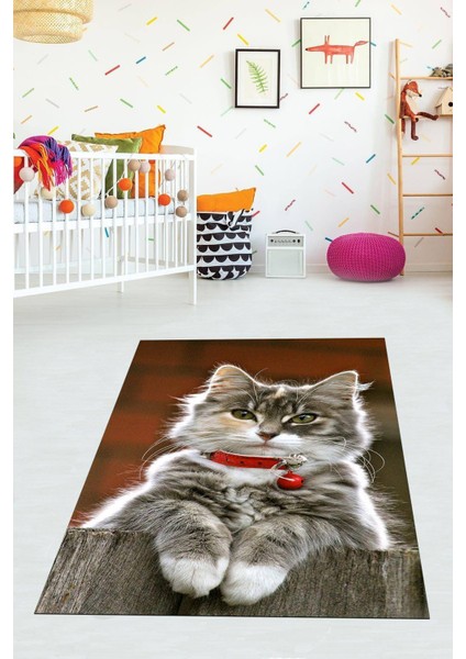 Dijital Baskılı Kaymaz Taban Yıkanabilir Modern Kedili Çocuk Odası Halısı VHÇ-SD-221