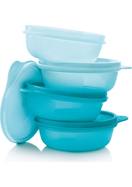 Saklama ve Servis Kabı 4'lü Set 300 ml