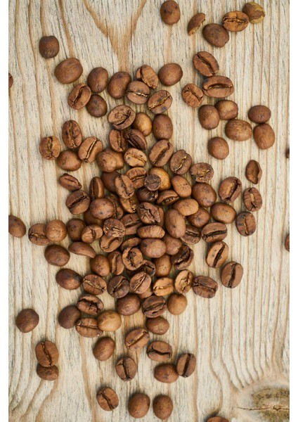 Dijital Baskılı Kaymaz Taban Yıkanabilir Kahve Desenli Modern Mutfak Halısı VHM-HT-1565 fiyatları