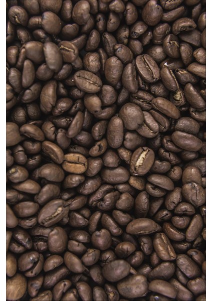 Dijital Baskılı Kaymaz Taban Yıkanabilir Kahve Desenli Modern Mutfak Halısı VHM-SD-181 fiyatları