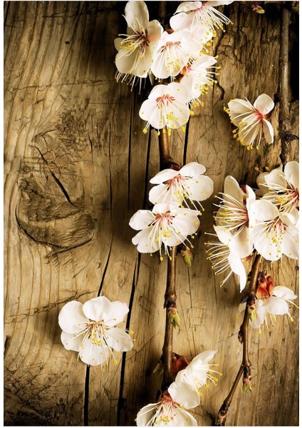 Dijital Baskılı Kaymaz Taban Yıkanabilir Modern Salon Halısı Mutfak Halısı Yolluk VH-HY-1108 fiyatları