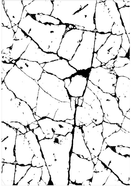 Dijital Baskılı Kaymaz Taban Yıkanabilir Modern Salon Halısı Mutfak Halısı Yolluk VH-HY-1162 fiyatları