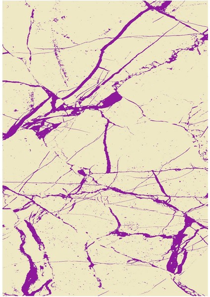 Dijital Baskılı Kaymaz Taban Yıkanabilir Modern Salon Halısı Mutfak Halısı Yolluk VH-HY-1163 fiyatları