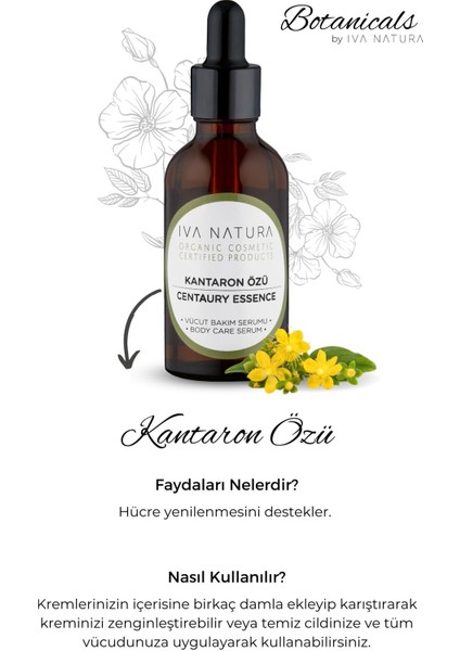 Kantaron Özü 50 ml