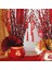 Yaratıcı Etli Bitki Pot Bonsai Blessing Bag Masaüstü Yeşil Ekleyici Vazo Kırmızı 3