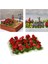 Çiçek Küme Modeli Demiryolu Bahçe Peyzaj Çimen Binası Kit Düzeni Gül (Yurt Dışından) 5