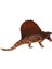 Hayata Benzeyen Dimetrodon Dino Model Figür Çocuk Anlatma ve Öğretim Sahne (Yurt Dışından) 5