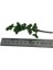1 Adet Park Manzara Modeli Ağacı Dağ Çam 4.72 "ölçek 1/75 (Yurt Dışından) 5