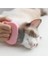 Kedi Tarak Fırça (Yurt Dışından) 2