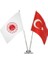Adalet Bakanlığı Masa Bayrağı 1