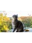 200 cm*15 m - Balkon Filesi - Kedi Filesi - Çocuk Filesi - Beyaz 1