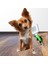 Buffer Kedi Köpek Telli Küçük Boy Tüy Bakım Seti Evcil Hayvan Tarama Fırçası 2