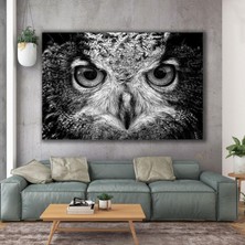 SML Tablo Siyah Gri Baykuş Kafası Dekor Hayvan Dekor Kanvas Tablo