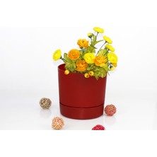 Emin Home Poliwork Yuvarlak Tabaklı Plastik Saksı 0.5 Lt - Küçük Boy Çiçek Saksısı