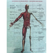 Sole 2'li Puzzle Set Türkiye Haritası 50 Parça ve Insan Anatomisi 60 Parça