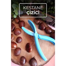 Kestane Çizici