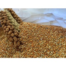 Hanımeli Pet Store Dal Darıdan Elenmiş Kızıldarı (Elenmiş Kızıl Darı ) 250gr