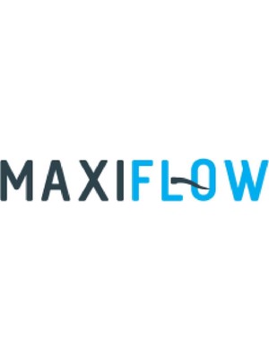 MaxiFlow F1 Lüx Krom Kapaksız Açık Kağıtlık Maxiflow Aksesuar