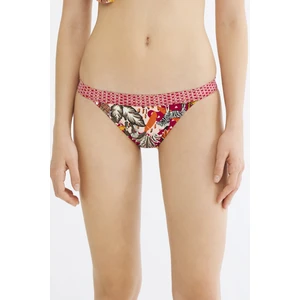 Çok Renkli Africa Super Bikini Altı