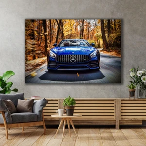 SML Tablo Mavi Mercedes Amg Gt Doğa Manzara Araba Dekor Kanvas Tablo