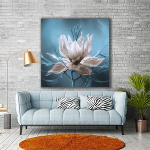 SML Tablo Üzerinde Yağmur Damlları Olan Beyaz Çiçek Makro Çekim Doğa Manzara Bitki Kanvas Tablo