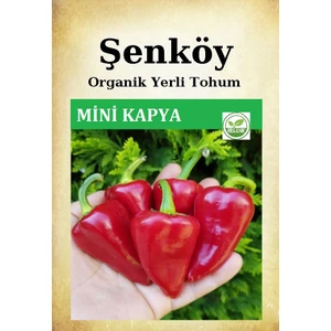 Yerli Mini Kapya Biber Tohumu Doğal Ata Turşuluk Közlemelik Biber Tohumu Pakette 100 Adet